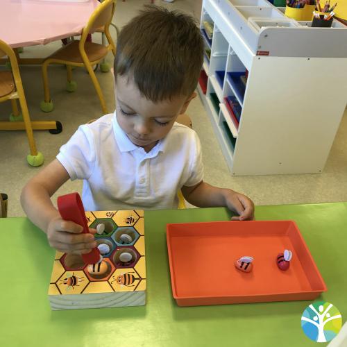 Activités autonomes type Montessori chez les PS
